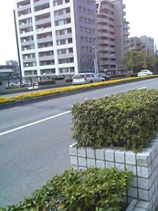 07109-02-0428