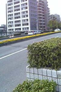07109-KK-0428