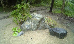 07221-01-080417